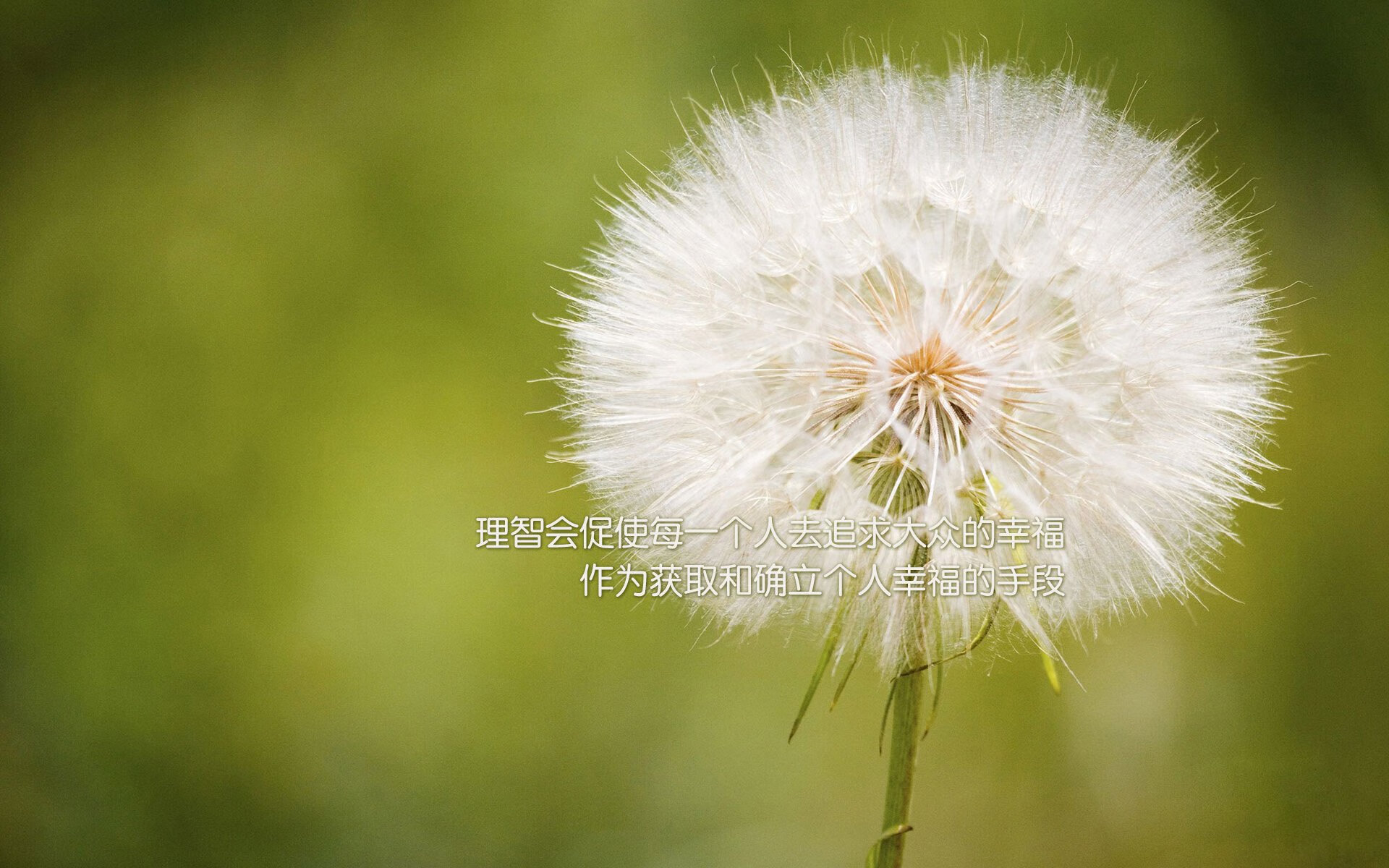 中国足球青少年联赛比赛规则细化完善，中国青少年足球比赛有哪些