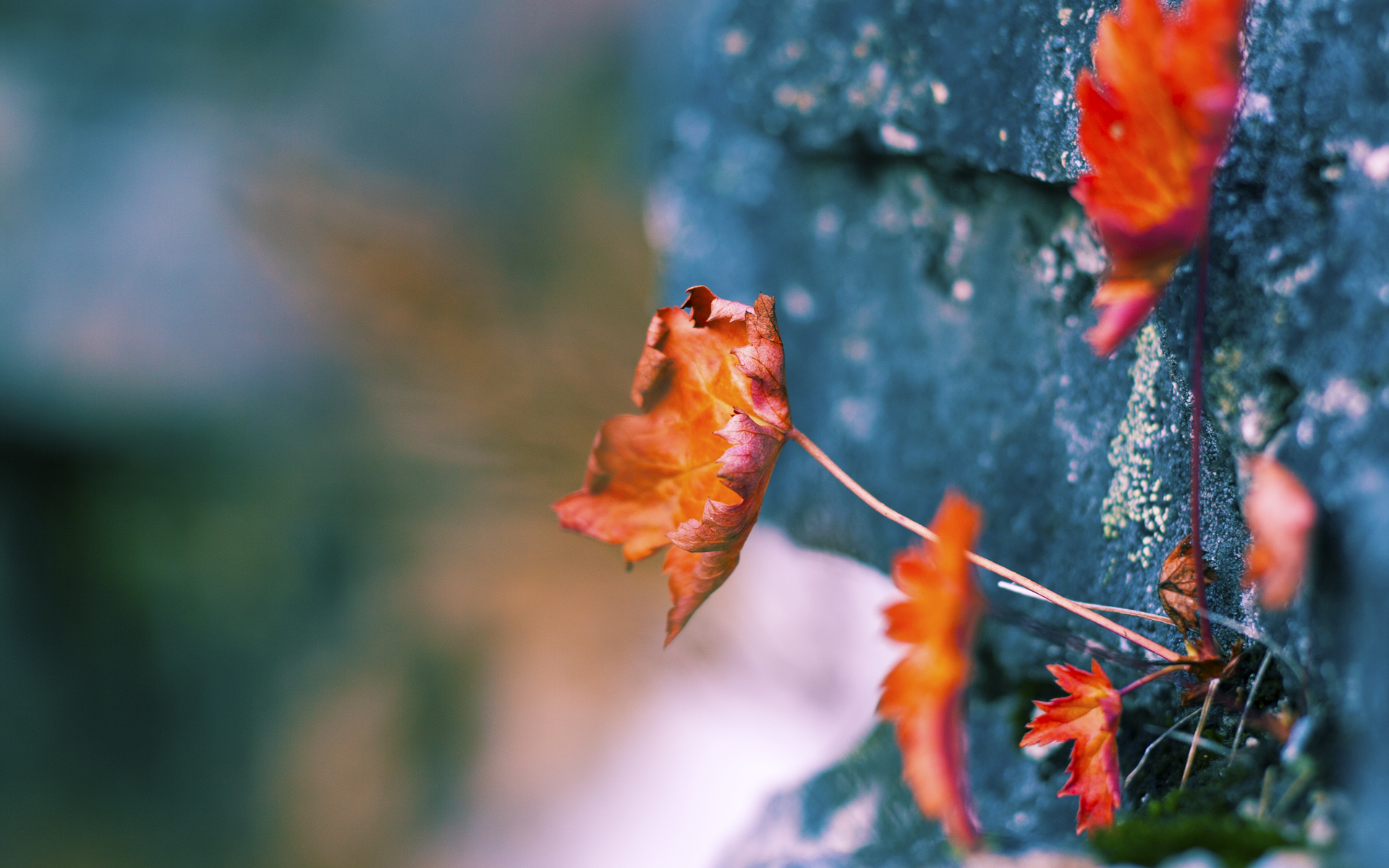 篮网主打挡拆创造大量空位得分机会，篮网如何